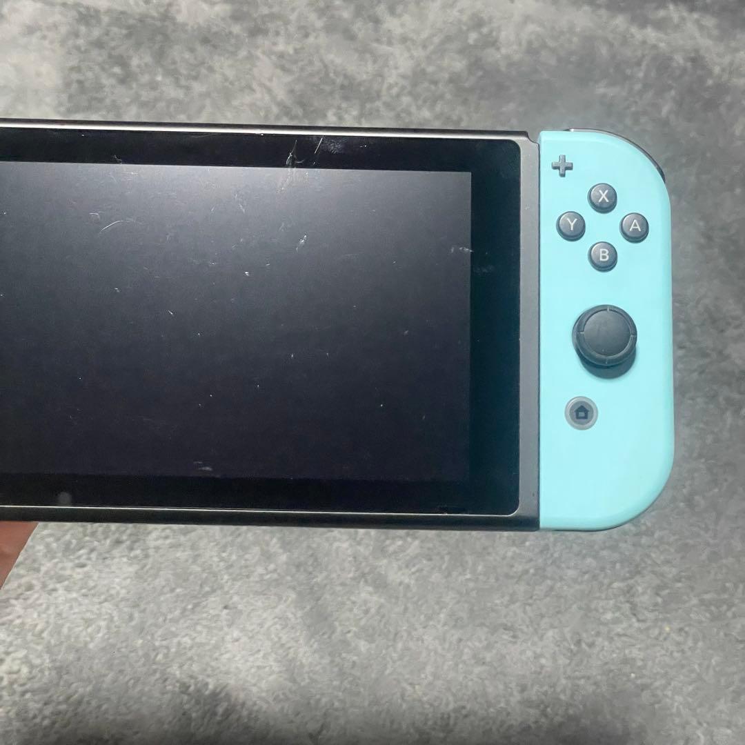 Nintendo Switch どうぶつの森 （※説明文を必ずお読みください）