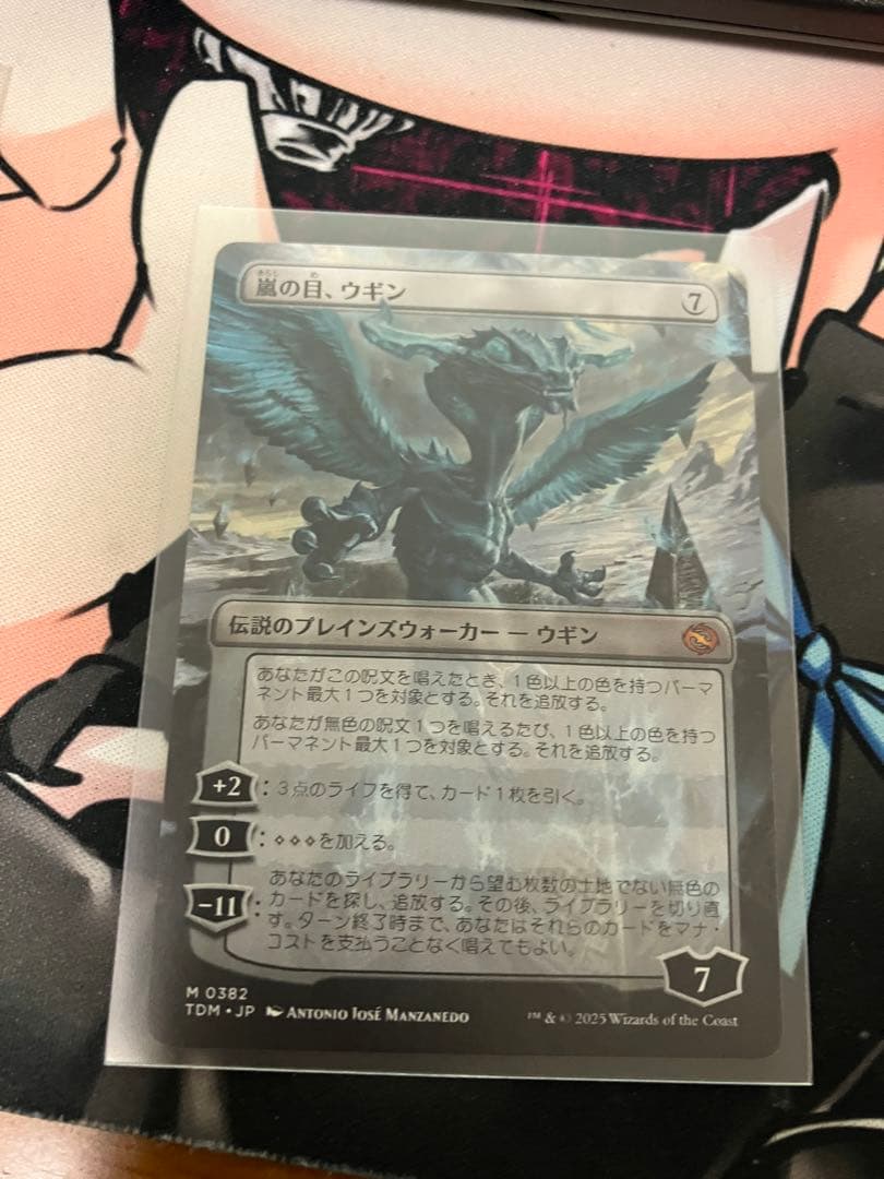 嵐の目、ウギン　ショーケース