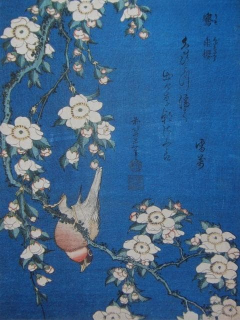 葛飾北斎、【鷽　垂桜】、希少画集画より、状態良好、新品高級額装付