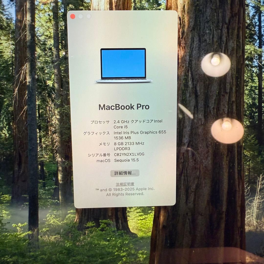 【美品】MacBook Pro 2019 13インチ i5 8GB 外箱・付属品