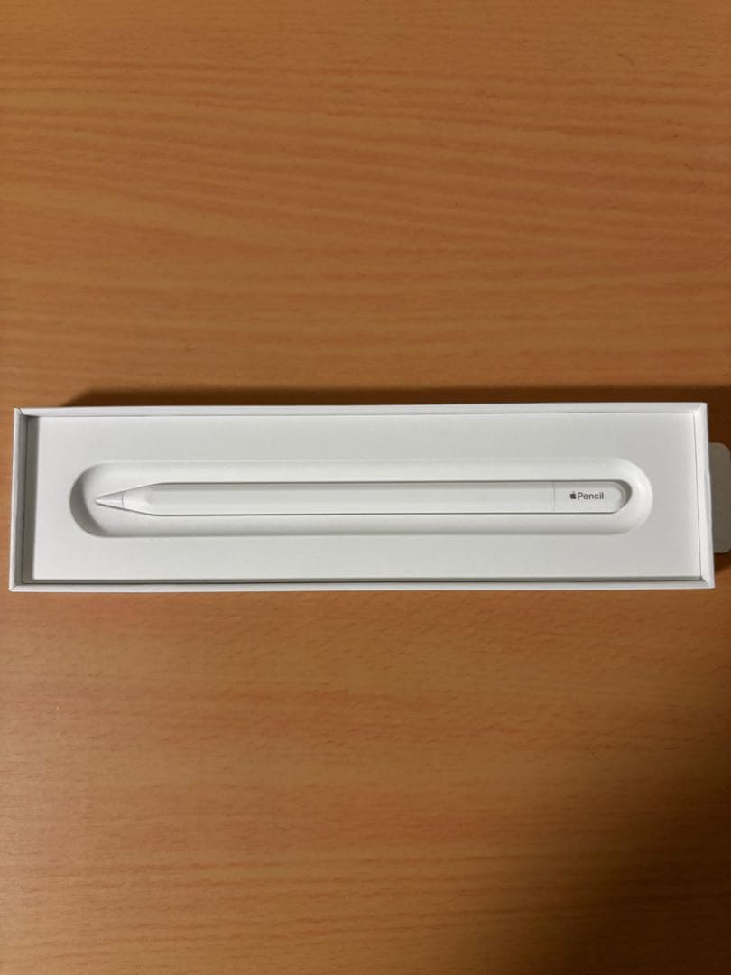 Apple Pencil アップルペンシル USB-C 純正