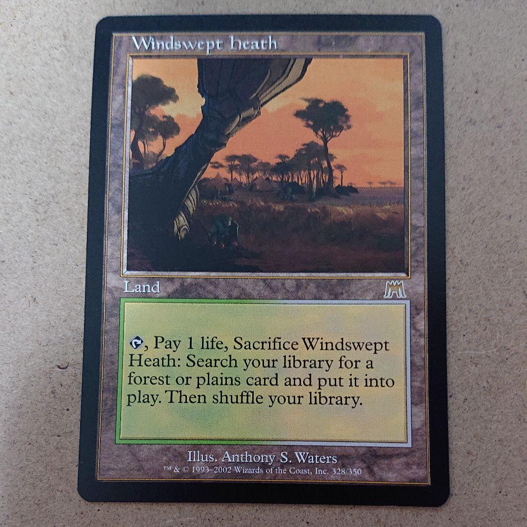 マジック：ザ・ギャザリング 吹きさらしの荒野 英語版