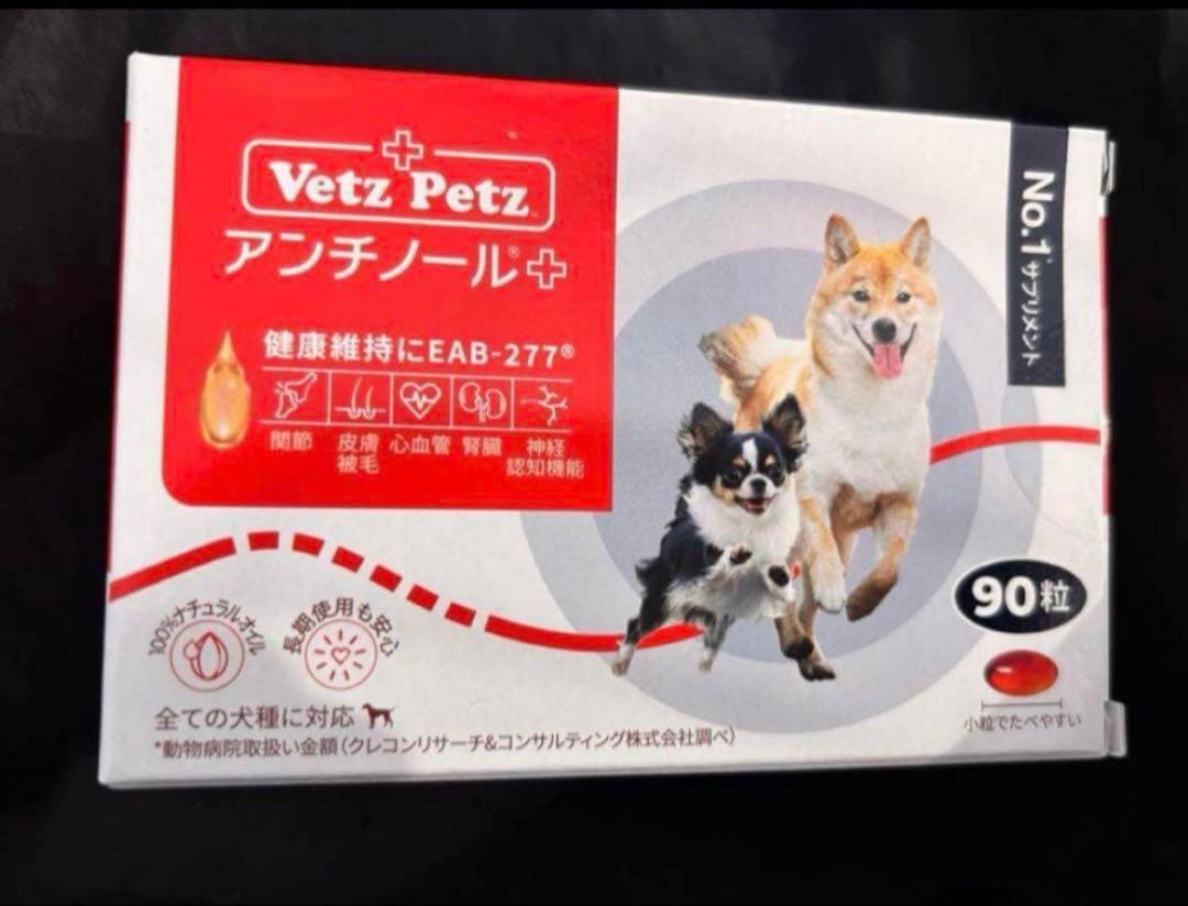 アンチノール プラス　90粒