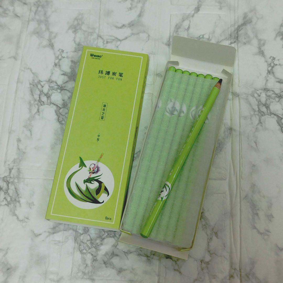 未使用⭐ 鉛筆 プロフェッショナルプレーンチャコールドローイング チャコールペン