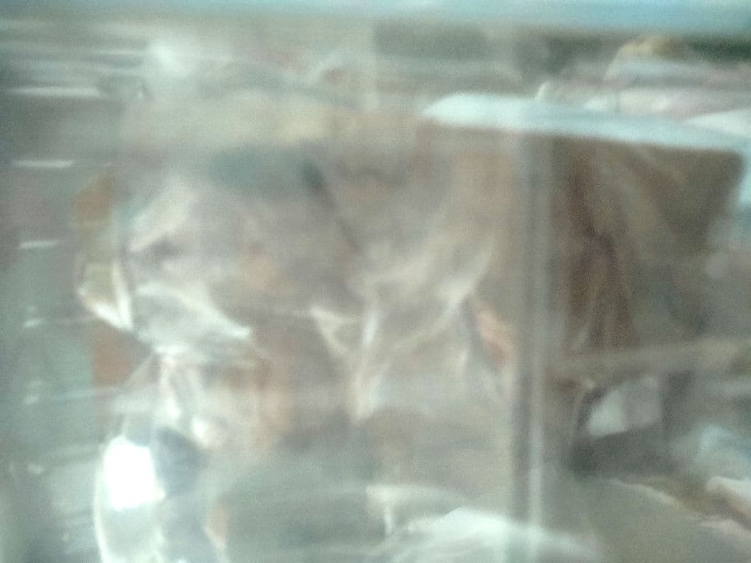 一番くじ　NIKKE　B賞　シンデレラ　フィギュア