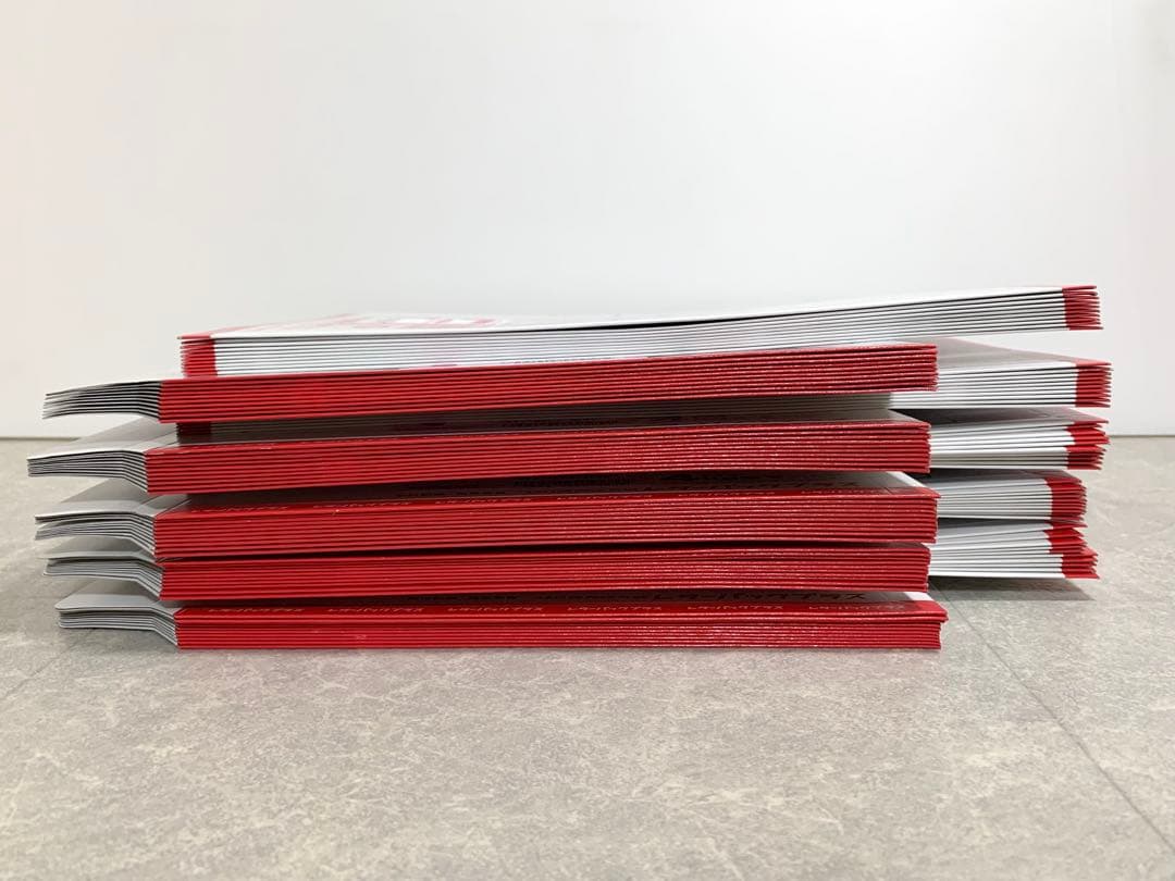 新品 レターパックプラス600 匿名配送 100枚セット ランダム番号 郵送