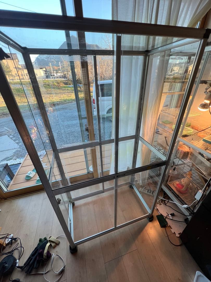 ガラス温室　昭和アルミブルーリボン　ネオラック　引き取り限定　埼玉