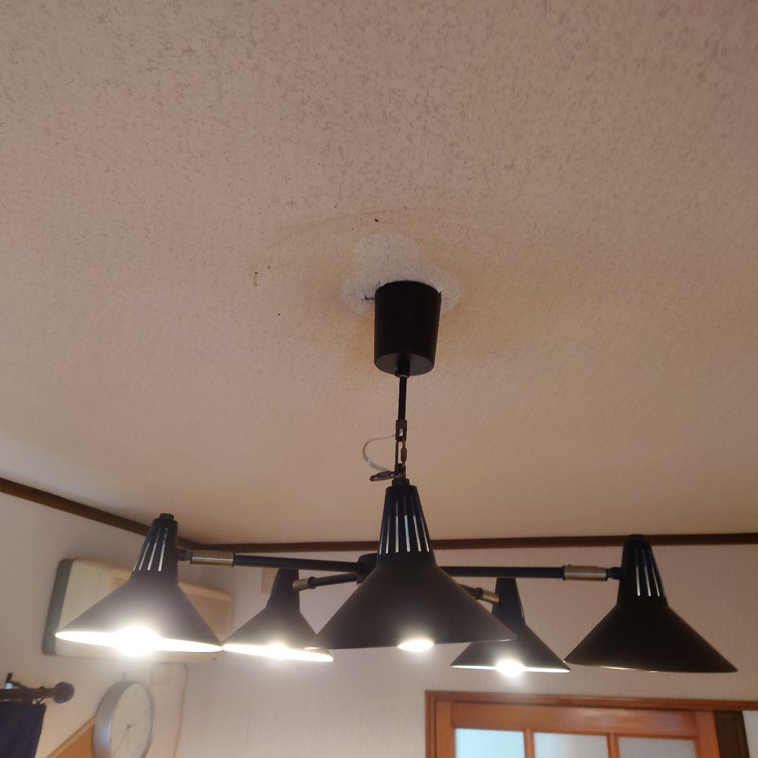 DI CLASSE　ディクラッセ　レグルス ペンダントライト　ブラック