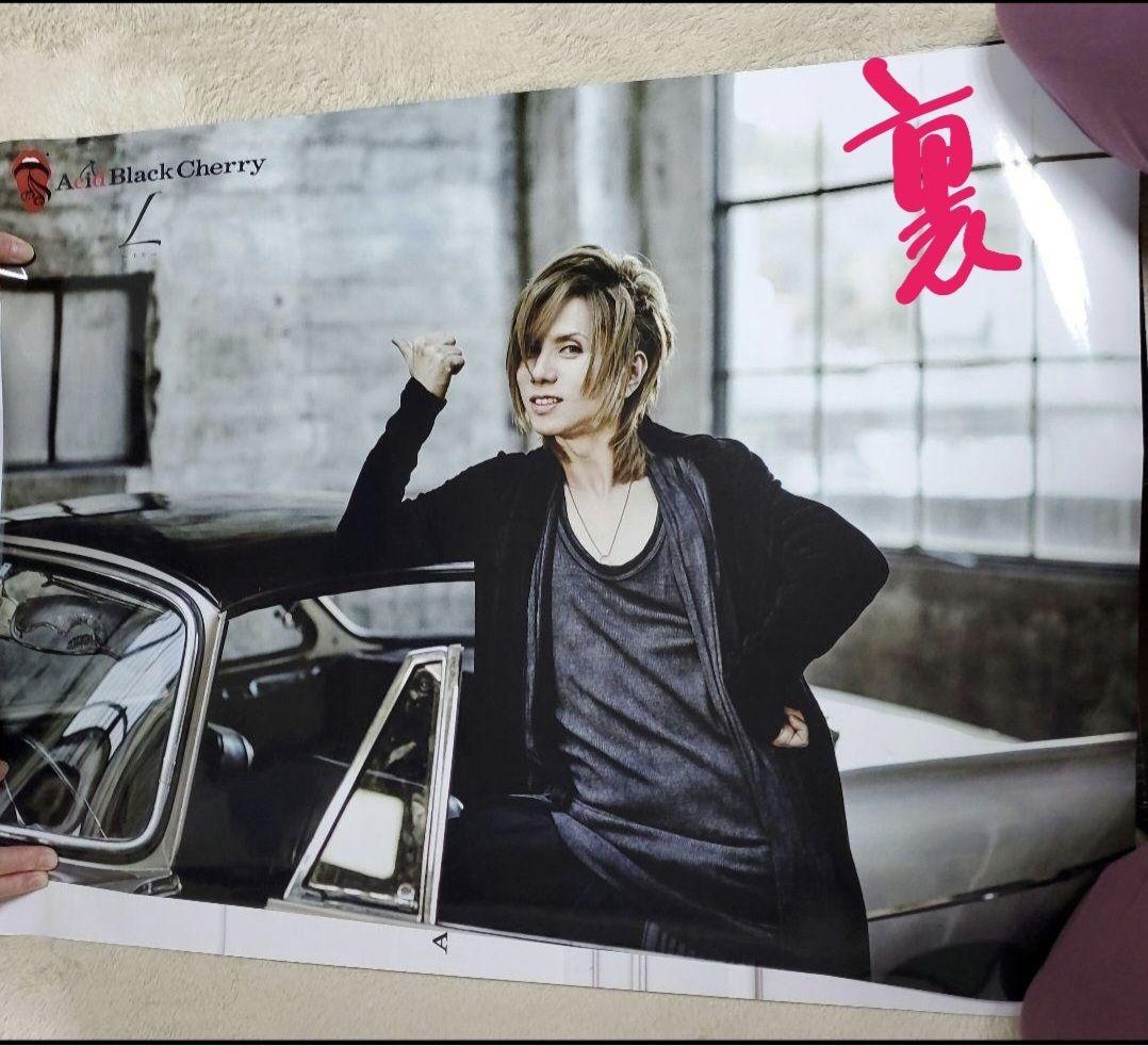 Acid Black Cherry L 両面ポスター　その②
