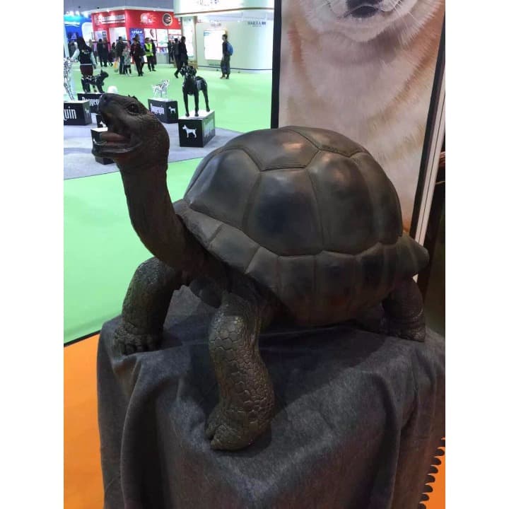 ☆（生き生きシリーズ）☆アルダブラゾウガメ☆（強品）☆