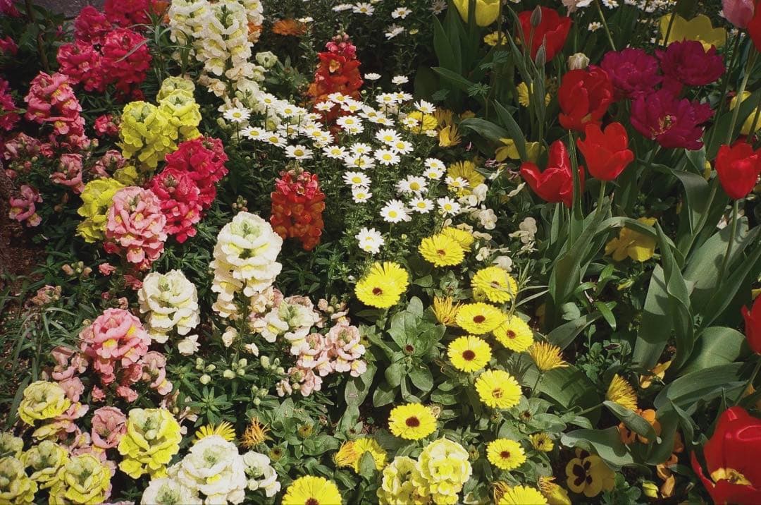 contax T2 チタンシルバー