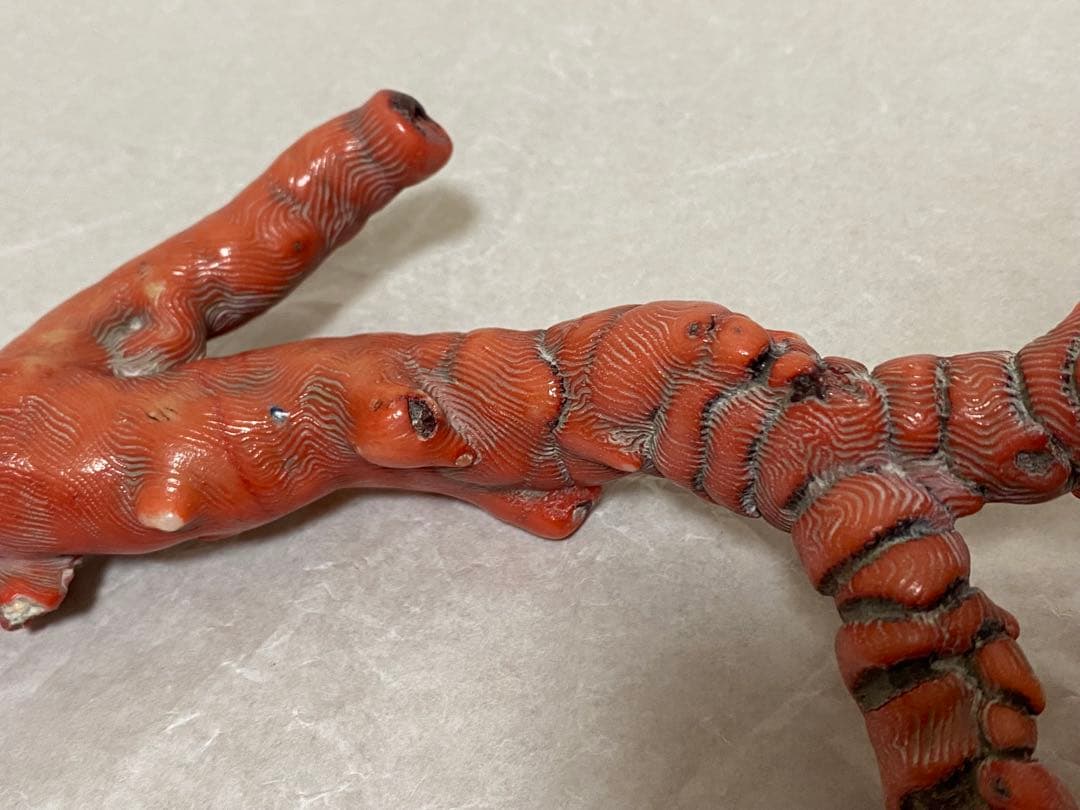 赤珊瑚　原木　天然　約410g