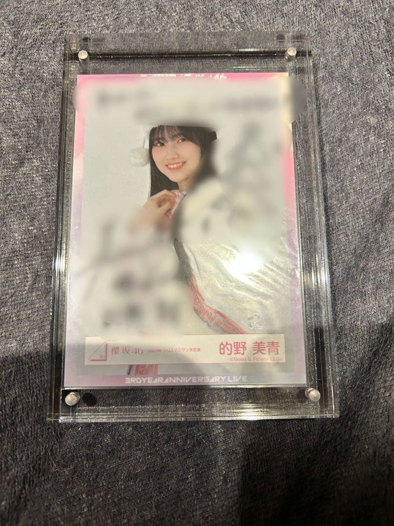 的野美青サイン生写真　2023年クリスマスサンタ衣装