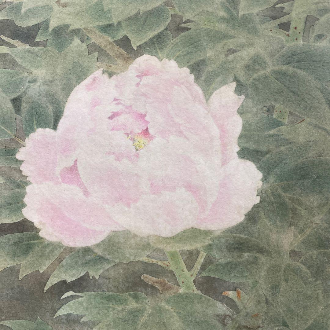 美品 掛け軸 本橋富夫作 牡丹図 共箱 太巻き付 美術年鑑掲載