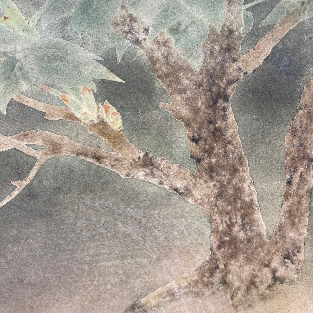 美品 掛け軸 本橋富夫作 牡丹図 共箱 太巻き付 美術年鑑掲載