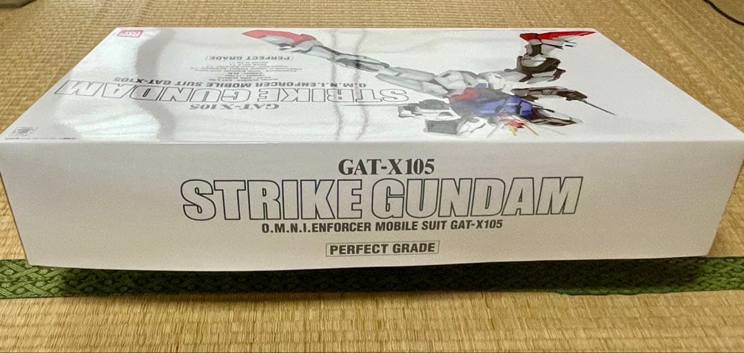 【PG】ストライクガンダム＋【PG】スカイグラスパー＋オマケガンプラ（未組立品)