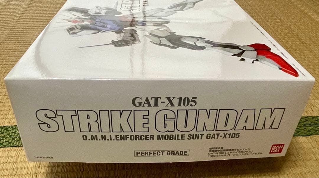 【PG】ストライクガンダム＋【PG】スカイグラスパー＋オマケガンプラ（未組立品)