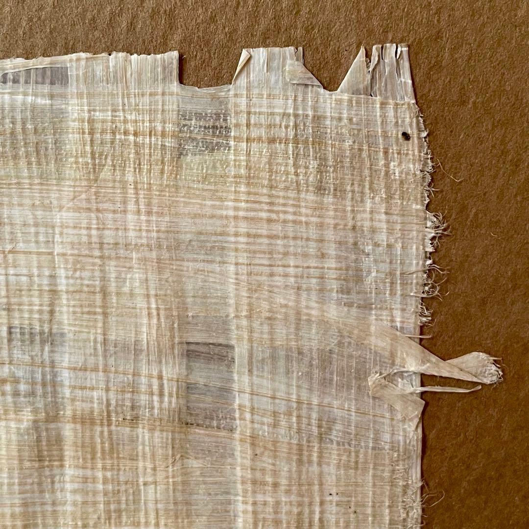 古代エジプト パピルスアート　額装