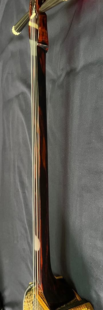 三線 八重山黒木 ウジラミ