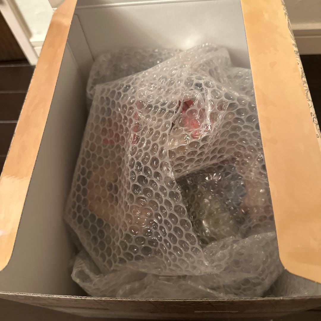 ワンピ三昧　ワンピース　アーカイブコレクション　エドワードニューゲート