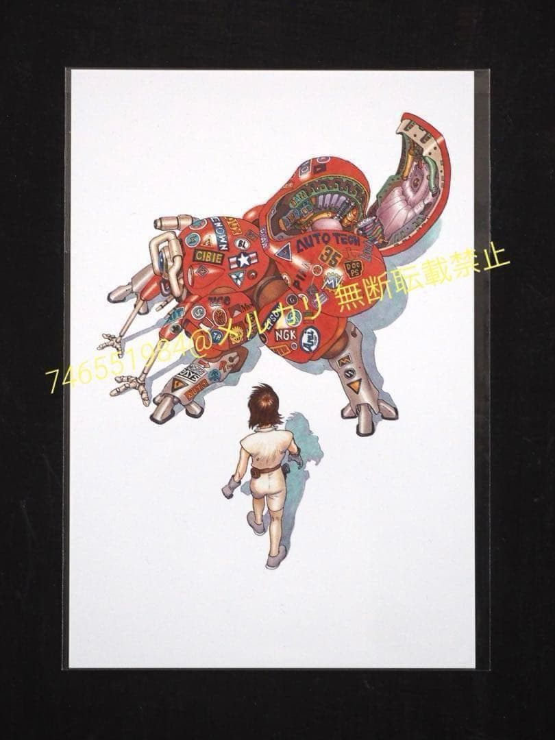 未使用　大友克洋　関連　まとめ売り