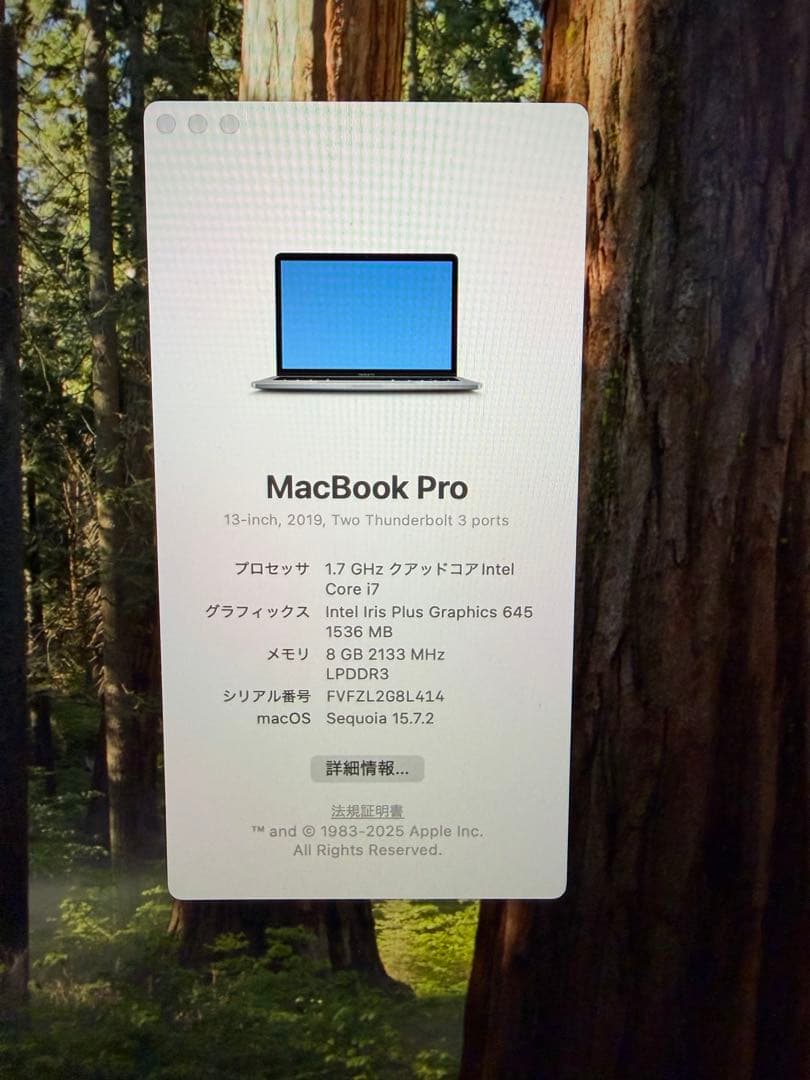 ⭐️最終値下げ MacBook Pro マウスおまけ13inch 8G / 1TB