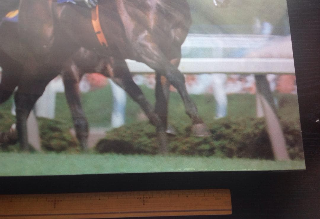 競馬パネル：トウショウボーイ「1977年 第7回高松宮杯」※カラー直線