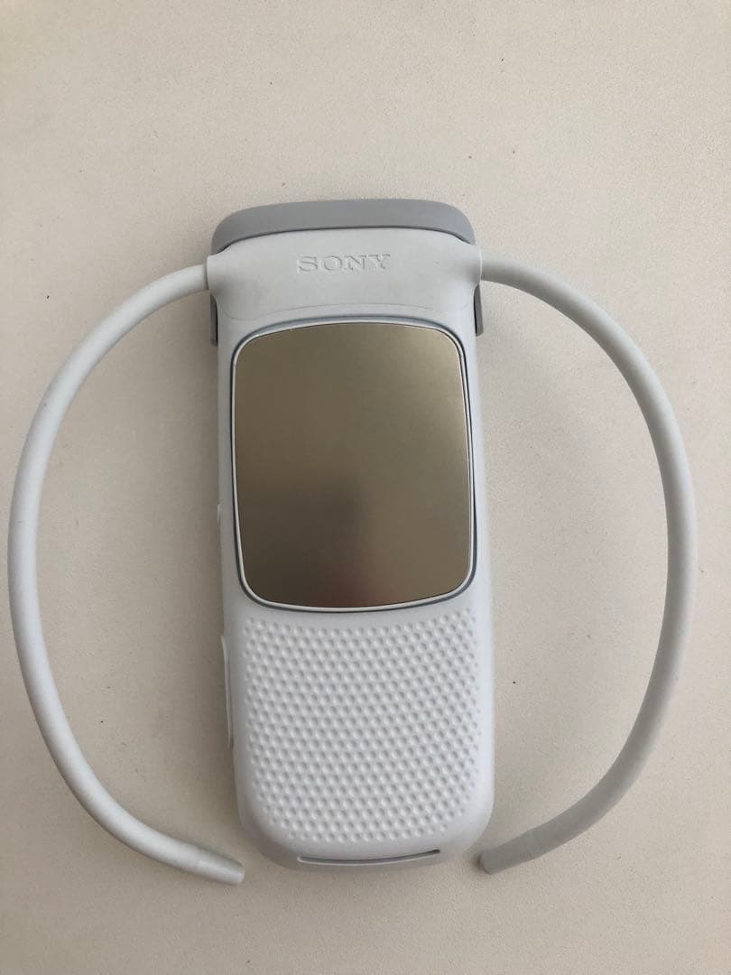 24　SONY REON POCKET 5