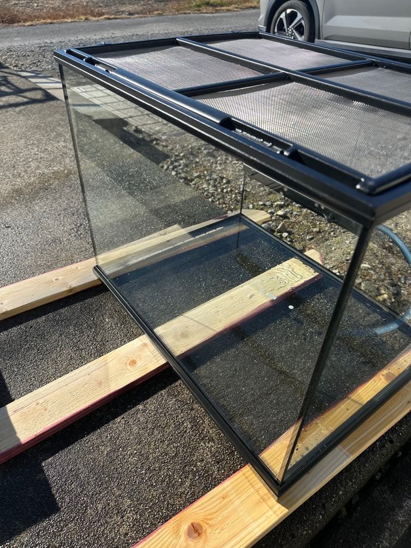 桃愛GEX グラステラリウム　6045