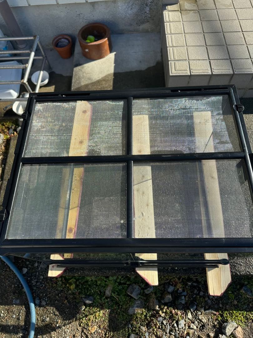 桃愛GEX グラステラリウム　6045