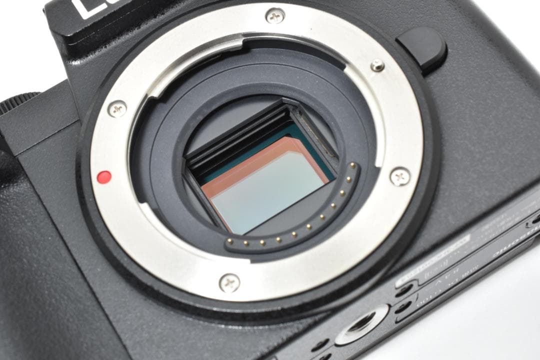 新品級■ショット数1290回■パナソニック LUMIX DC-G100 ボディ