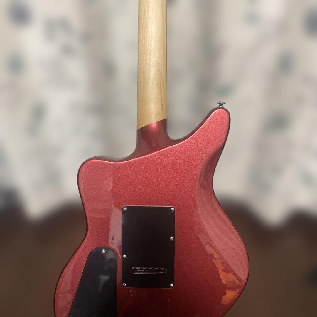 D'Angelico premier Bedford 新同