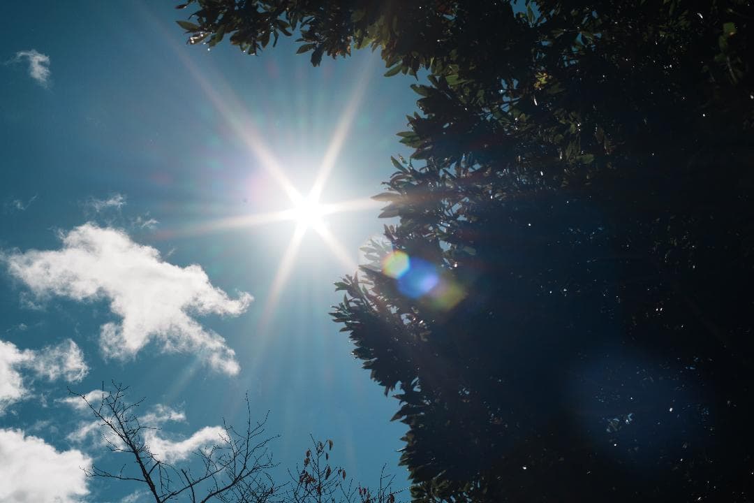 極上の空気感 CONTAX Planar 50mm F1.4 MMJ 704