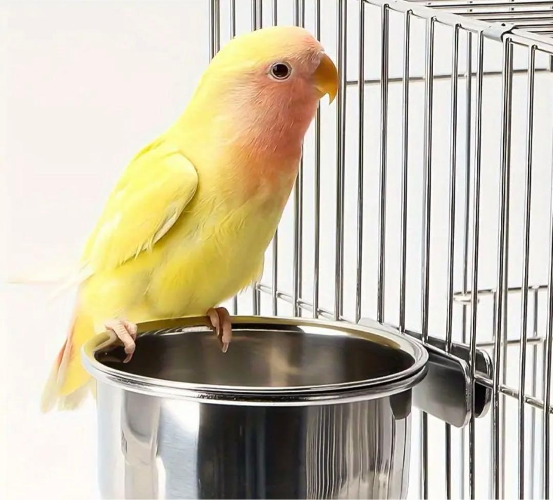 ⚫︎同梱用商品⚫︎送料別⚫︎インコさん用  ステンレスの餌入れ 取り付け金具付 値下げ