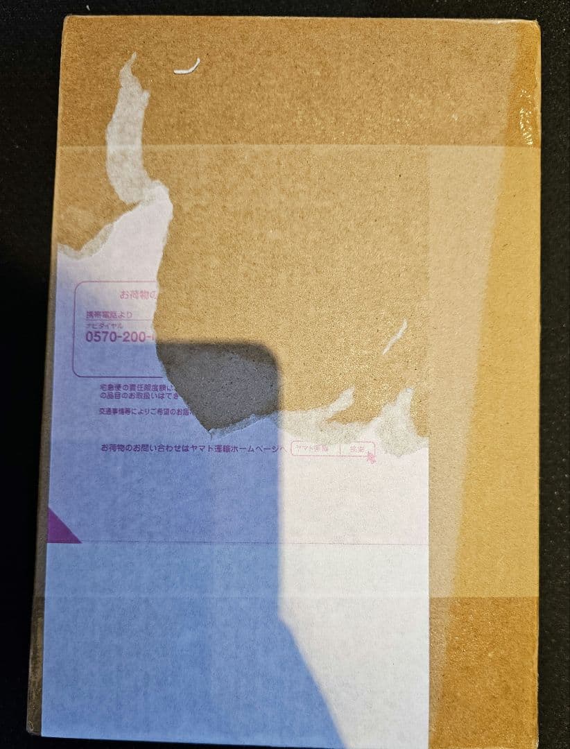 デジヴァイス 25th COLOR EVOLUTION 太一・ヤマトDXセット