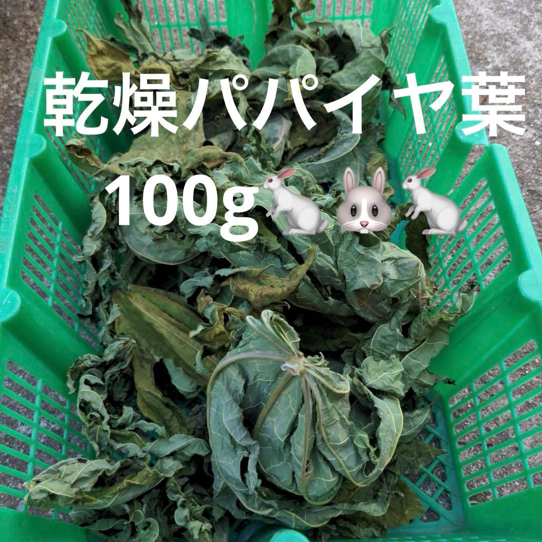 乾燥パパイヤ葉500g