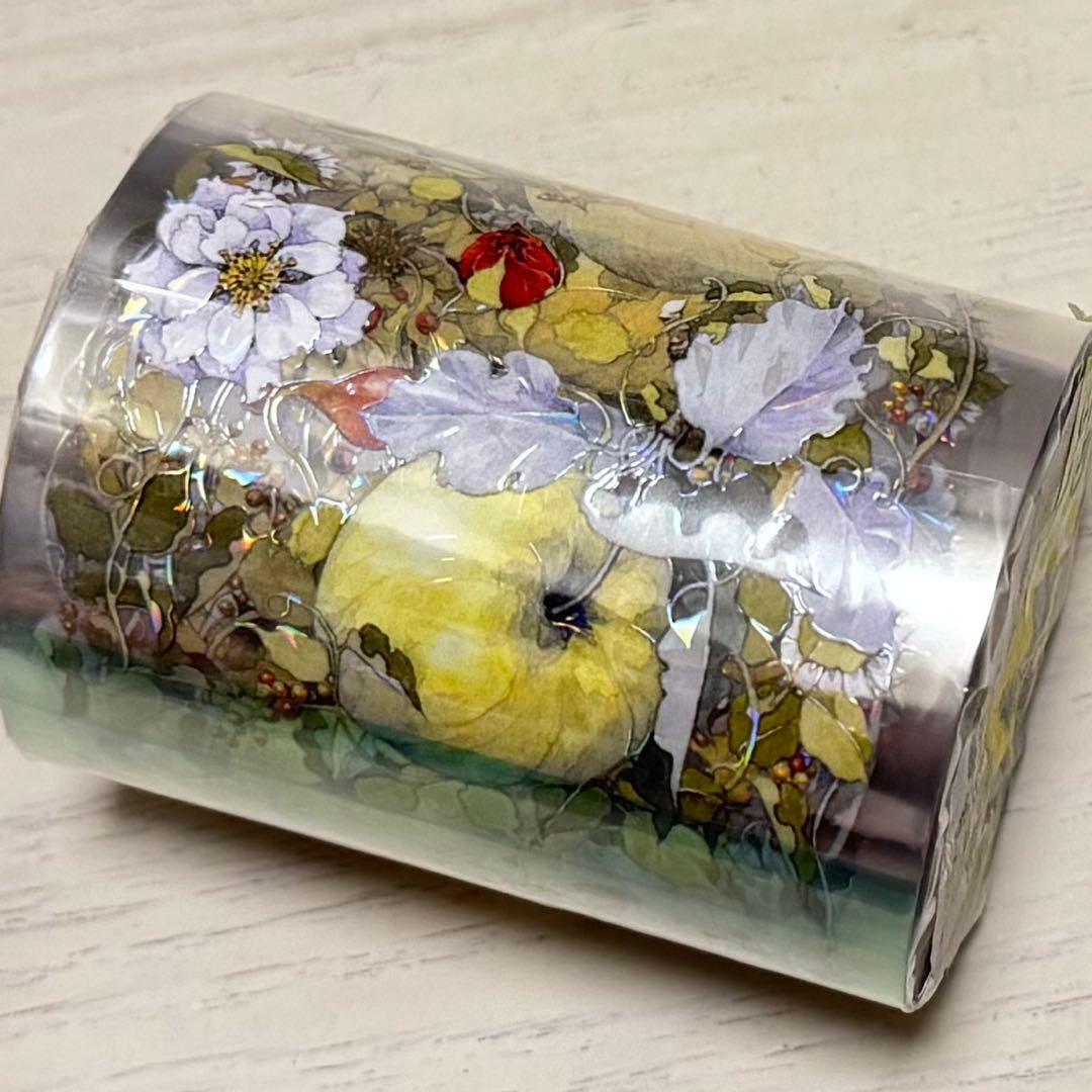 セール145 海外 PETテープ マスキングテープ