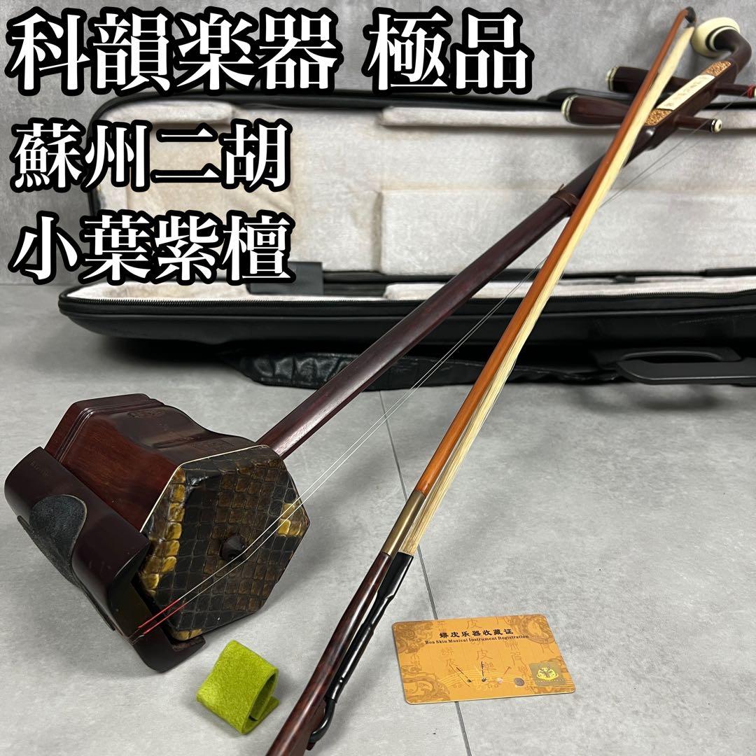 希少　科韻楽器　極品　蘇州二胡　柳城碧藍煙外染　べっ甲　彫刻絵　弓　レザーケース