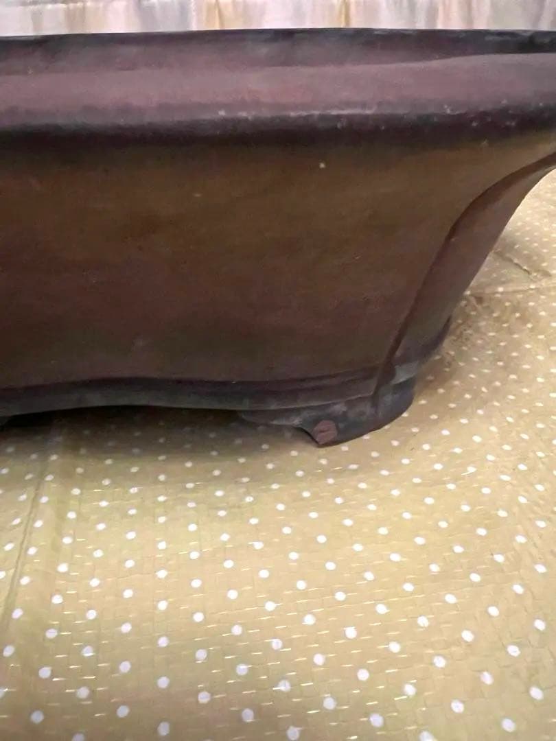 もつなべ　盆栽鉢　大型　斎田三峰　おまとめ