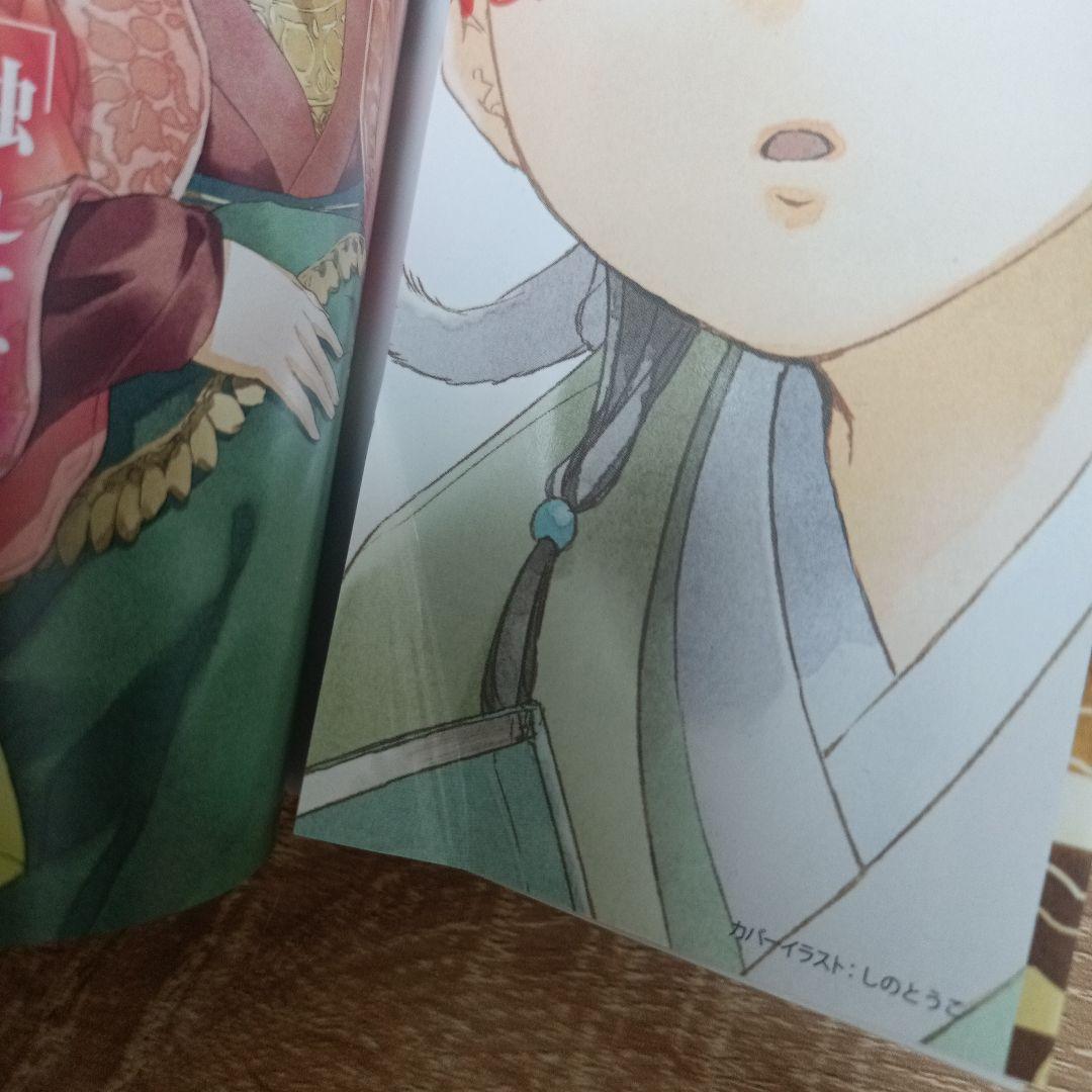 薬屋のひとりごと 小説版 15巻セット