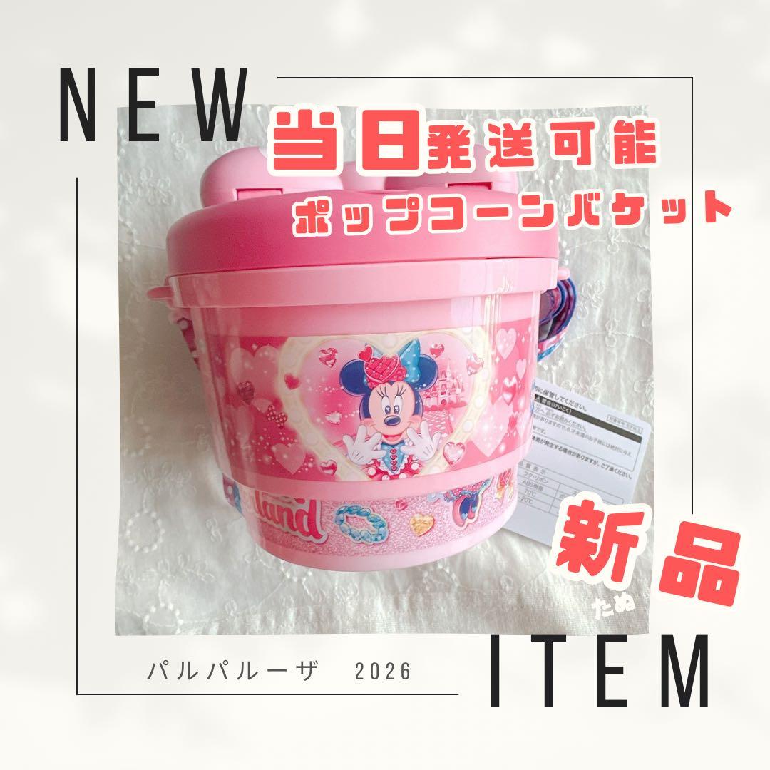 じ*こ様 新品　ディズニー　パルパルーザ　ミニーのファンダーランド　ポップコーン