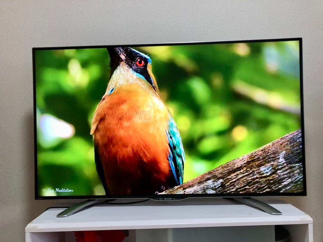 美品 SHARP 50インチ 4K 液晶テレビ LC-50U30 50型