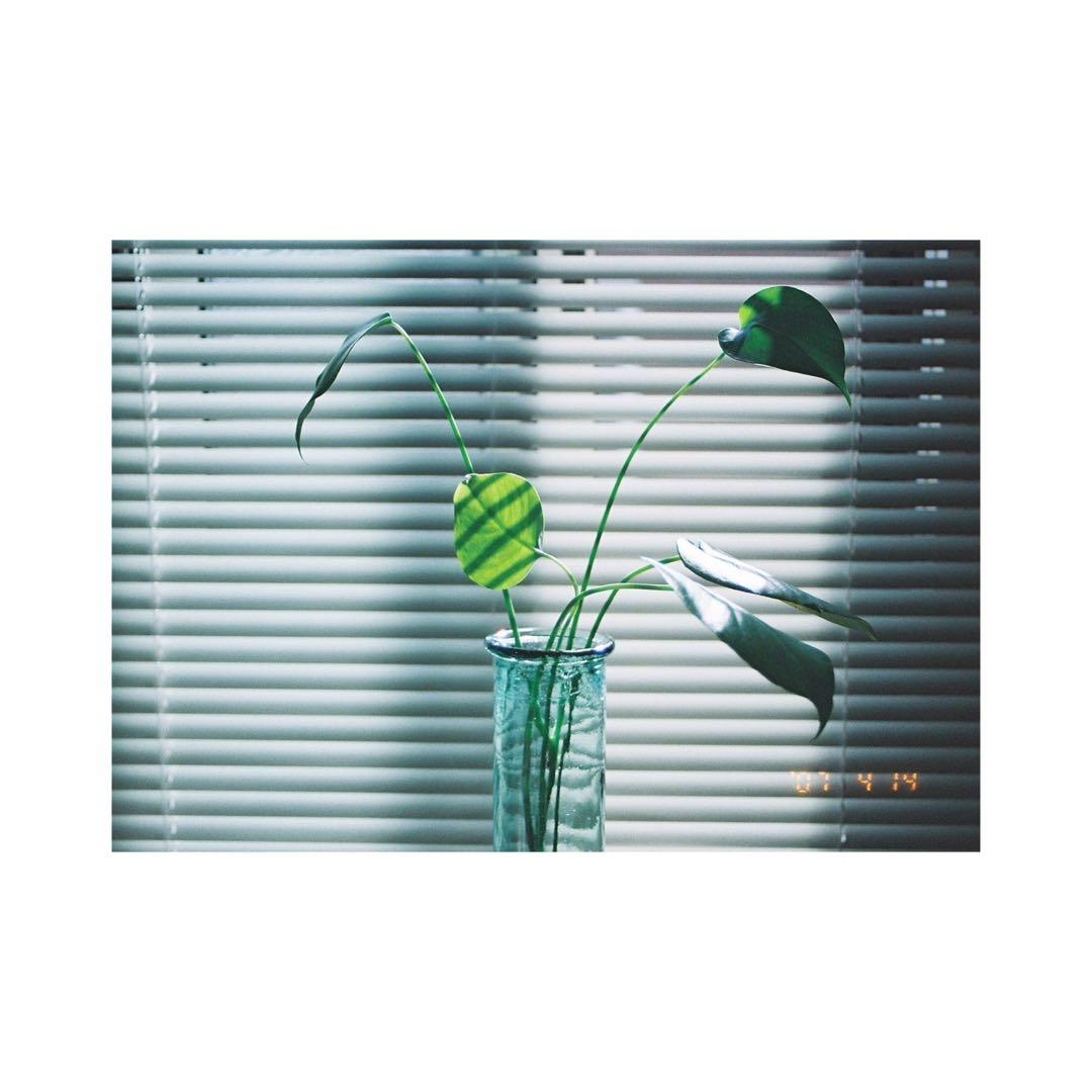 ⌘完動品！ 作例あり 電池付き！Canon EOS 55 ズームレンズセット⌘