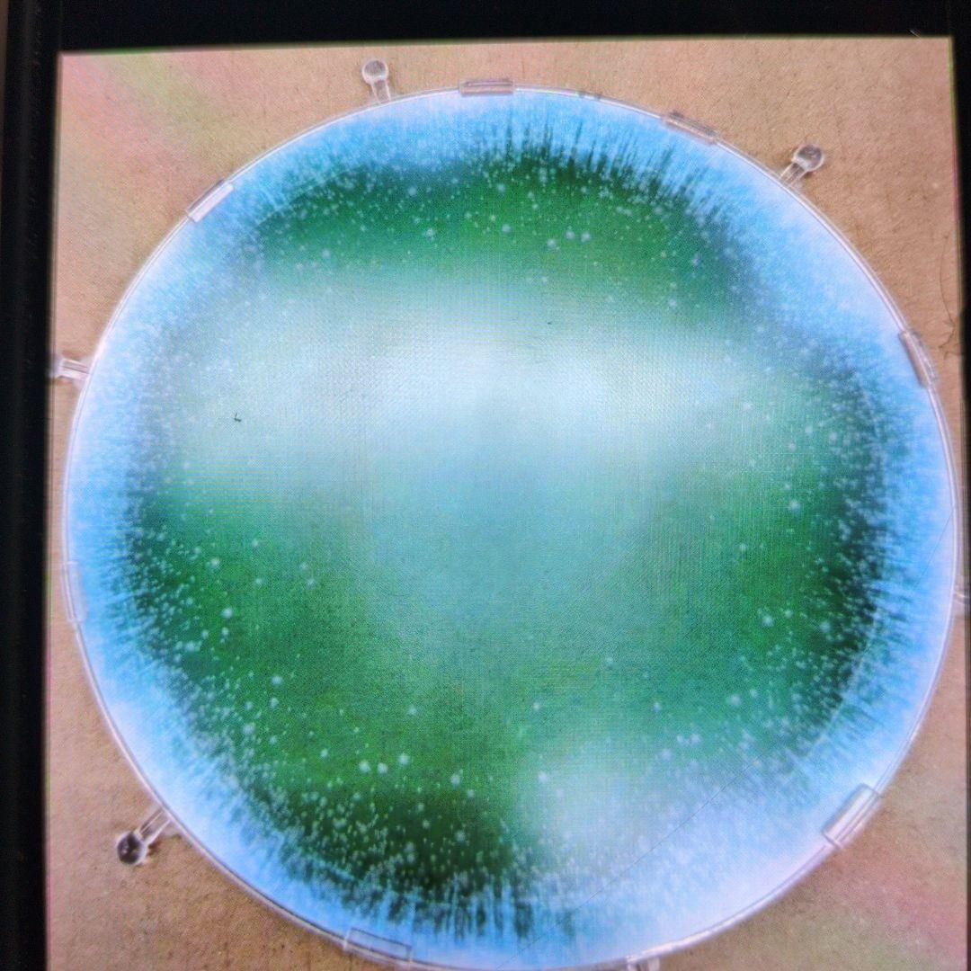 メタルビルド。ガンダム.ダブルオークアンタ。