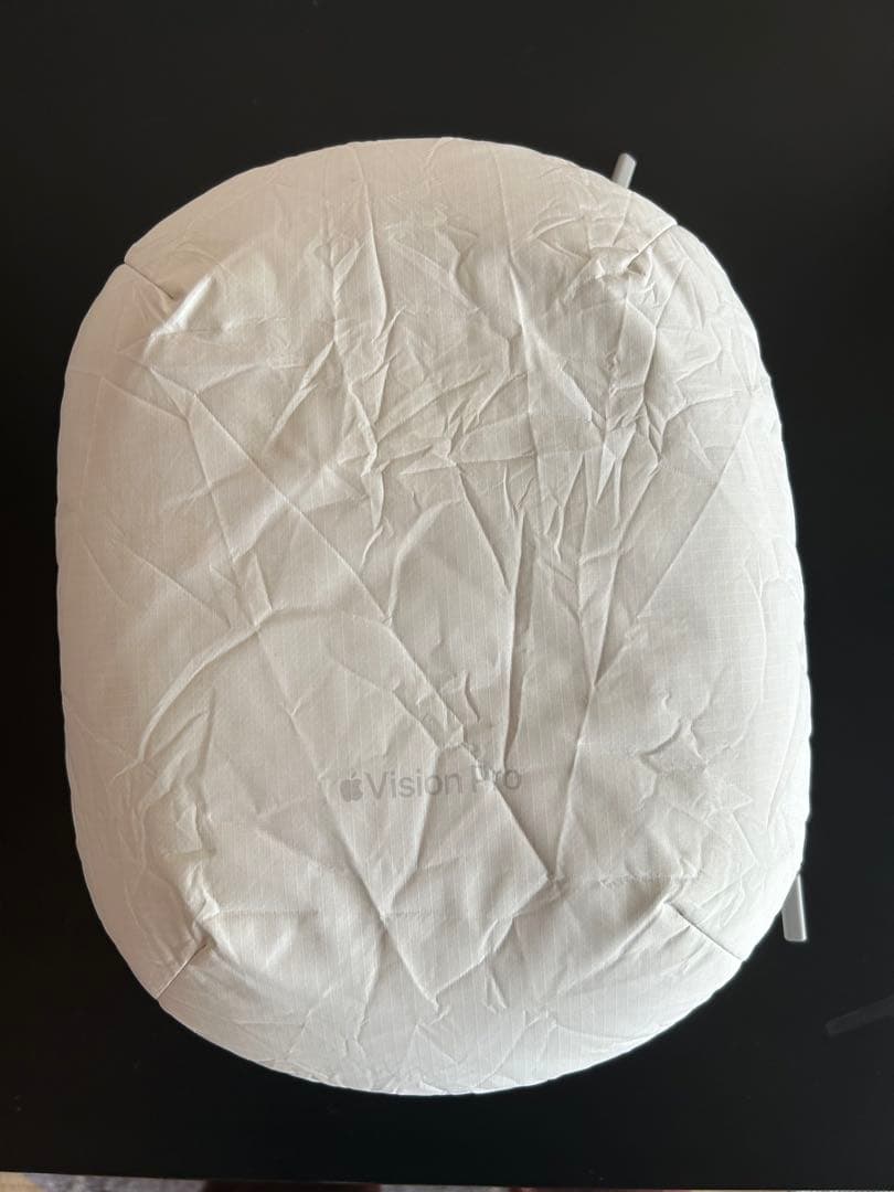 Vision Pro Apple ケース