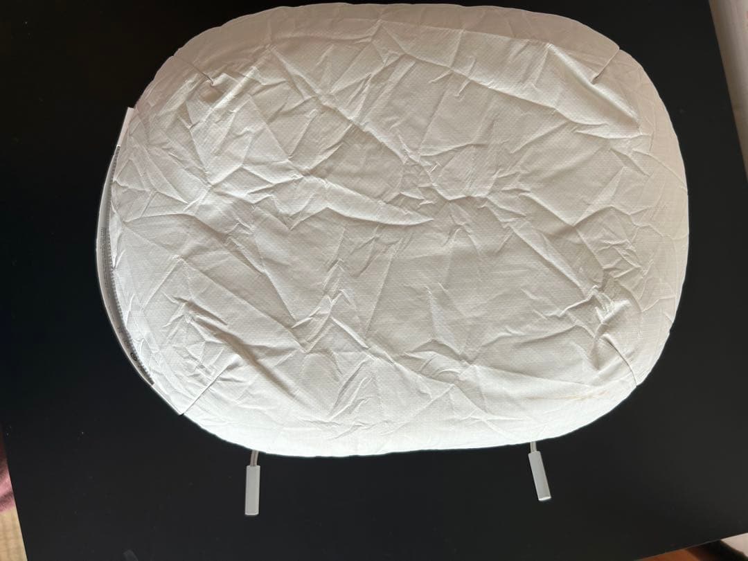 Vision Pro Apple ケース