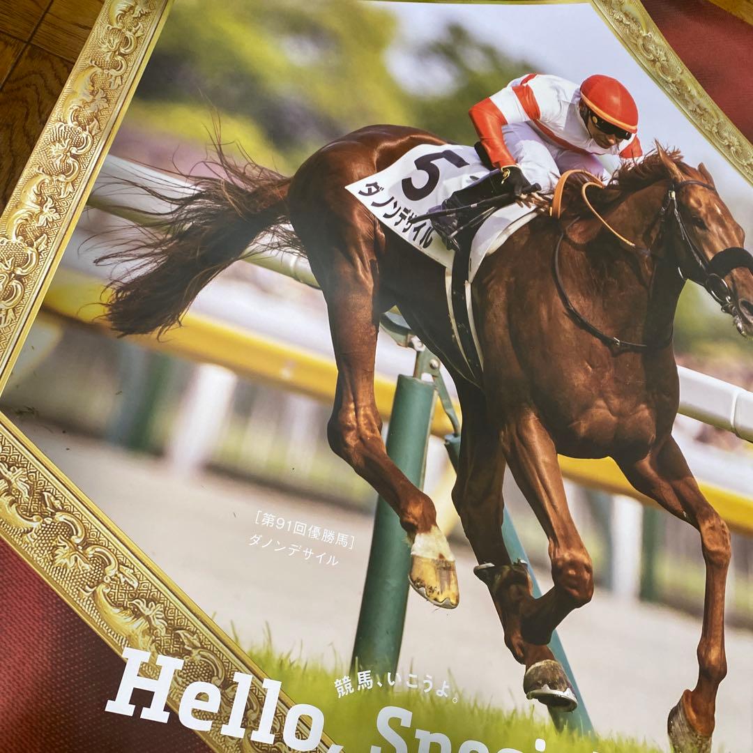 競馬　ポスター　ダノンデサイル　セール