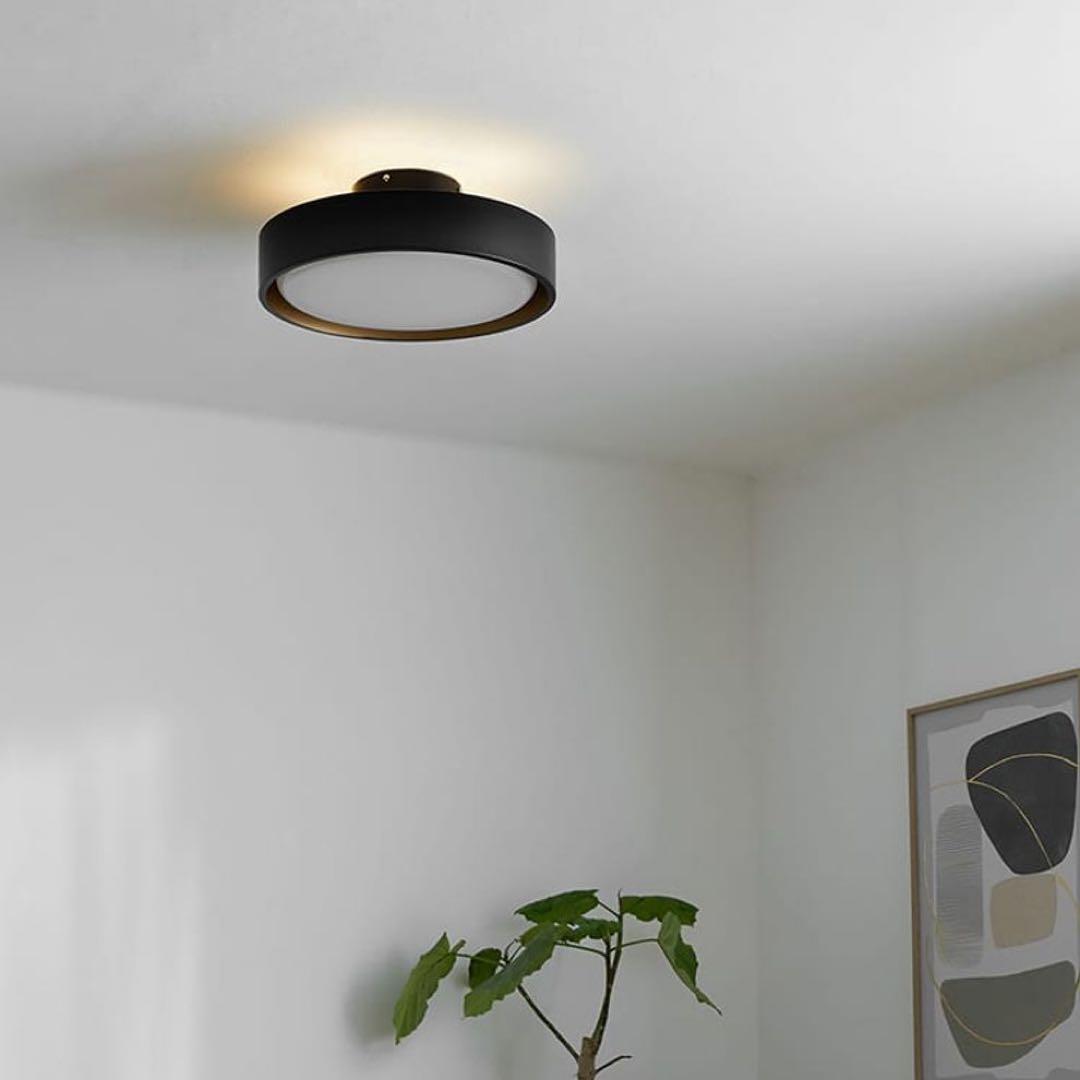 円形ブラックシーリングライト