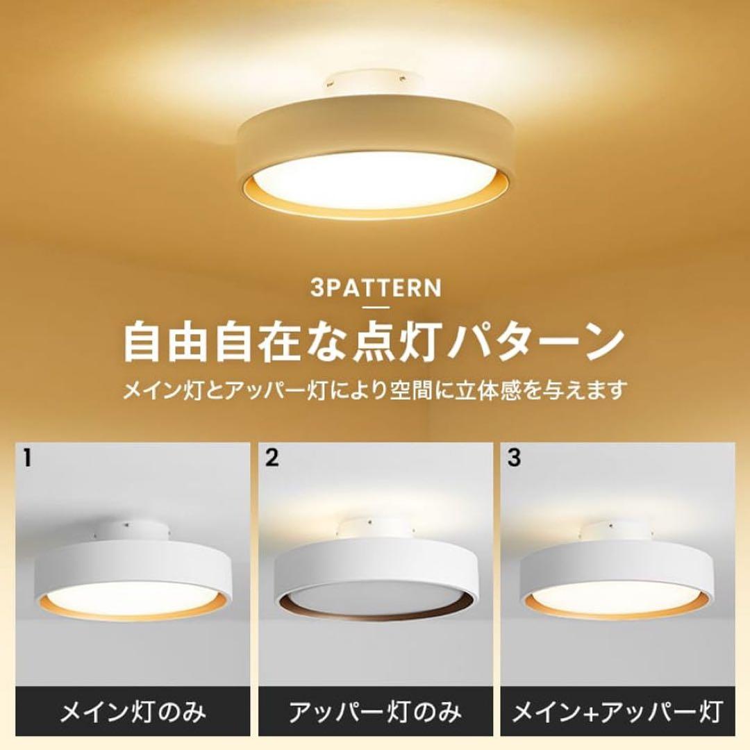 円形ブラックシーリングライト