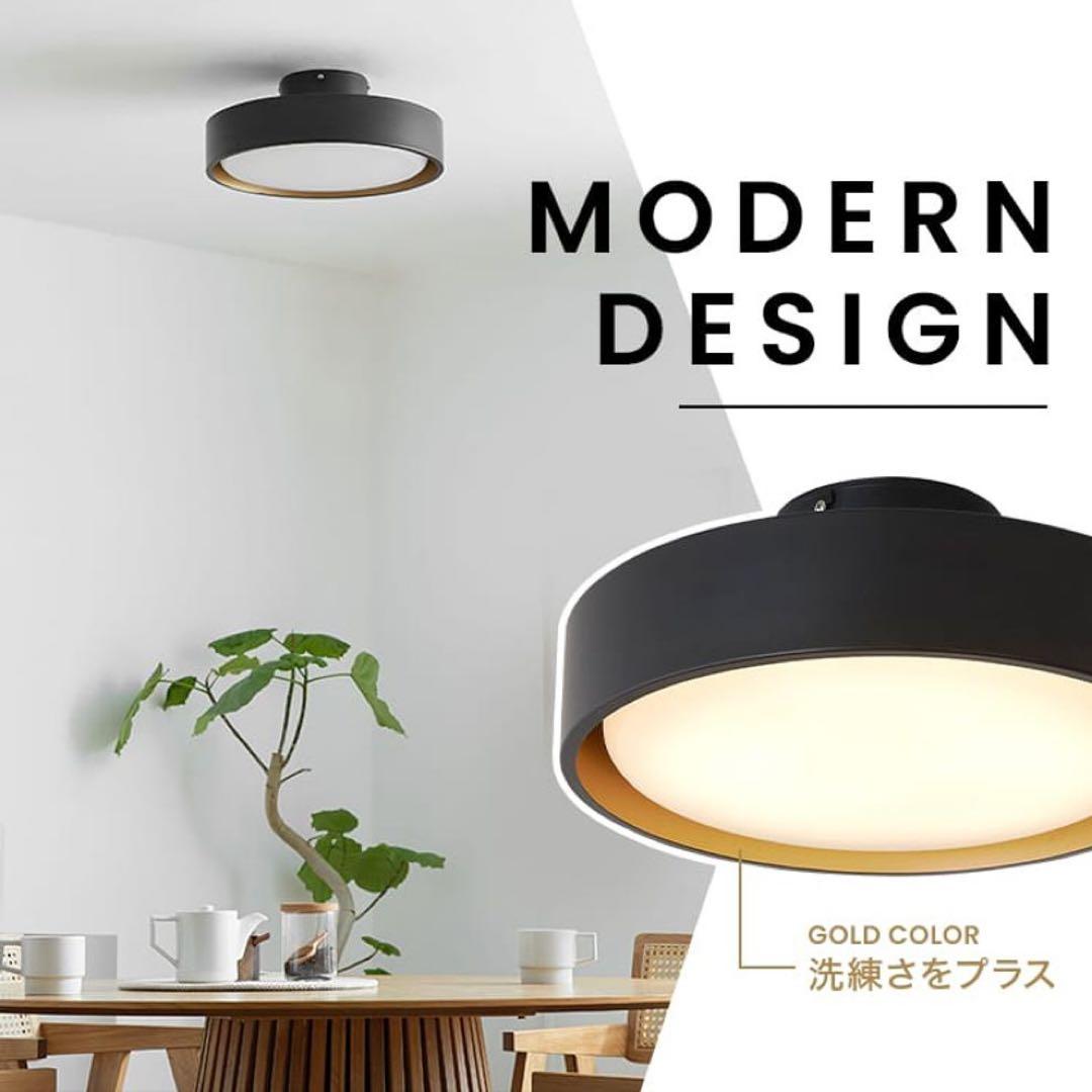 円形ブラックシーリングライト
